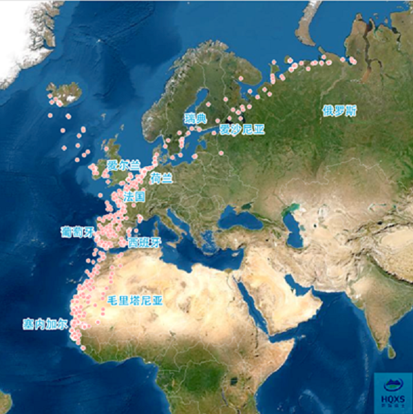 球王会,湖南野生动物追踪,湖南卫星追踪器,湖南追踪器