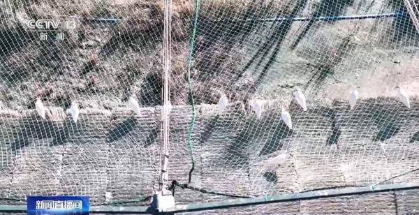 球王会,湖南野生动物追踪,湖南卫星追踪器,湖南追踪器